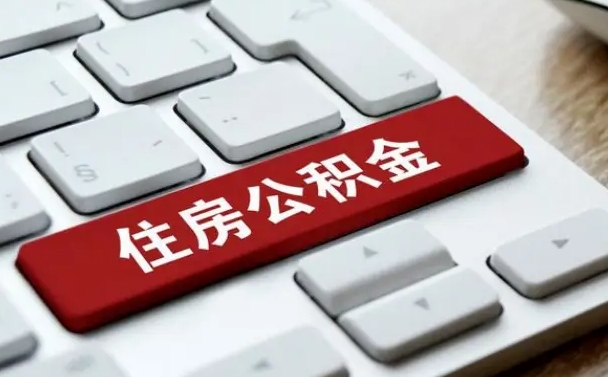 莘县公积金个人提（公积金 个人提取）